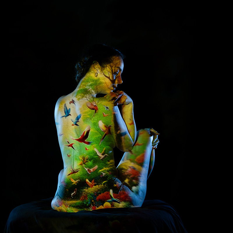 A woman sitting with her back to the camera, a colorful projection of birds and green foliage covers her skin against a black background