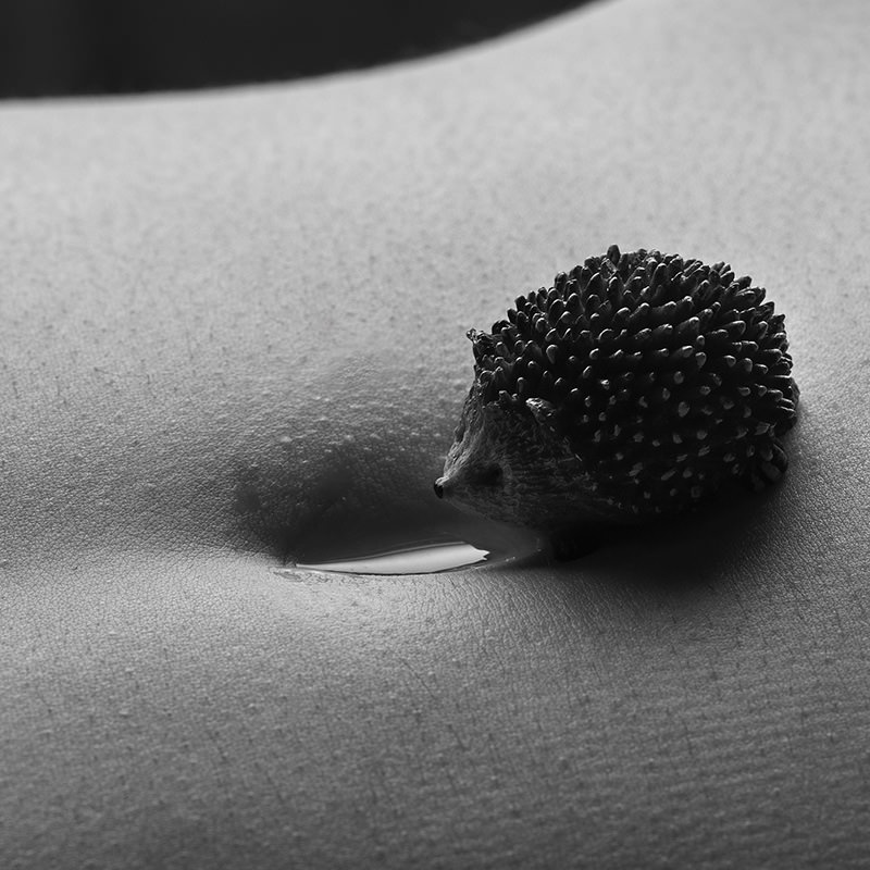 Small, spiky hedgehog drinking a drop of water from a person's navel, captured in black and white