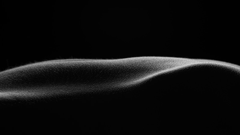 Close-up of a human back curve with fine body hair, in black and white lighting emphasizing texture and shape