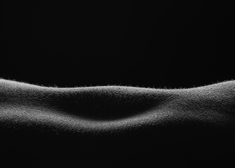 Close-up of a human body curve with fine hair visible, highlighted by soft lighting against a black background