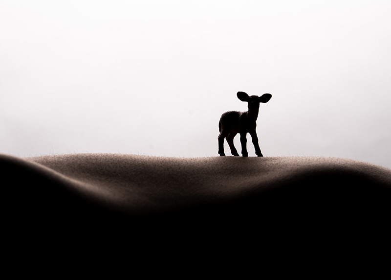 Small figurine of a deer standing on a textured, curved surface that resembles a hilly landscape with a plain light background