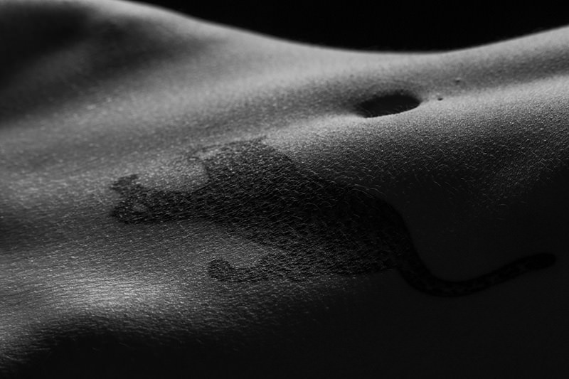 Close-up of a torso with a leopard silhouette tattoo near the navel in black and white lighting
