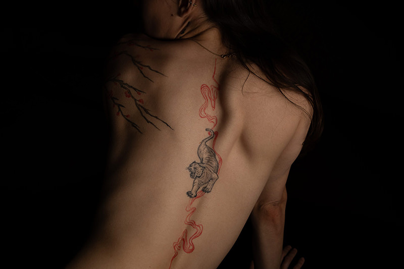 A person's bare back with tattoos featuring a tiger along the spine with a red swirling design and cherry blossom branches with flowers on the upper left shoulder.