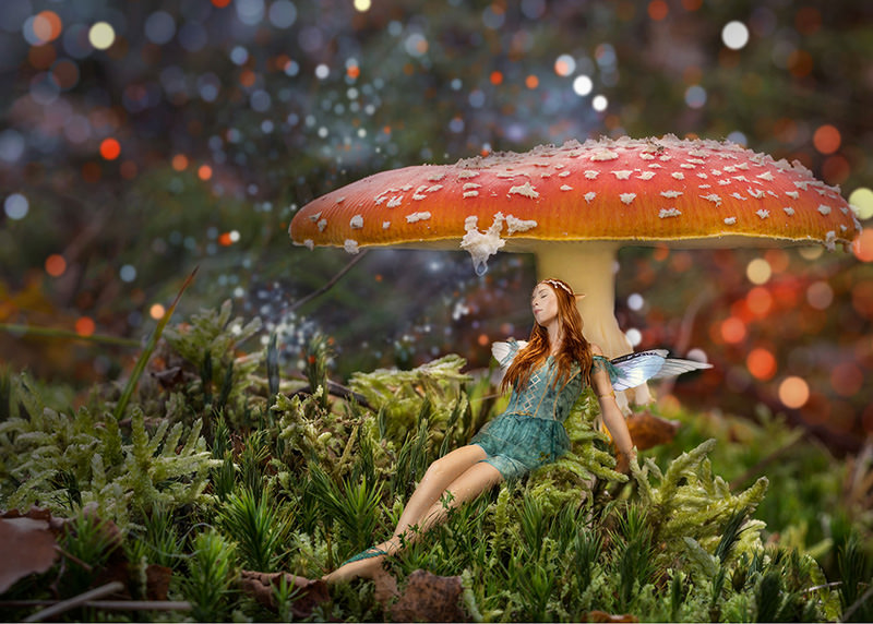 A red-haired fairy with blue wings and a green dress rests leaning against a large red and white spotted mushroom amidst lush green moss and plants with soft bokeh lights in the background