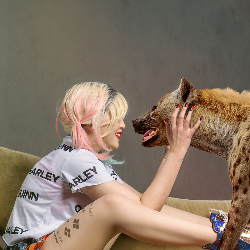 A young woman with pastel pink and blonde hair, wearing a white t-shirt with 'HARLEY QUINN' text and patterned shorts, sits on a green couch smiling and holding a hyena's face gently while looking into its eyes